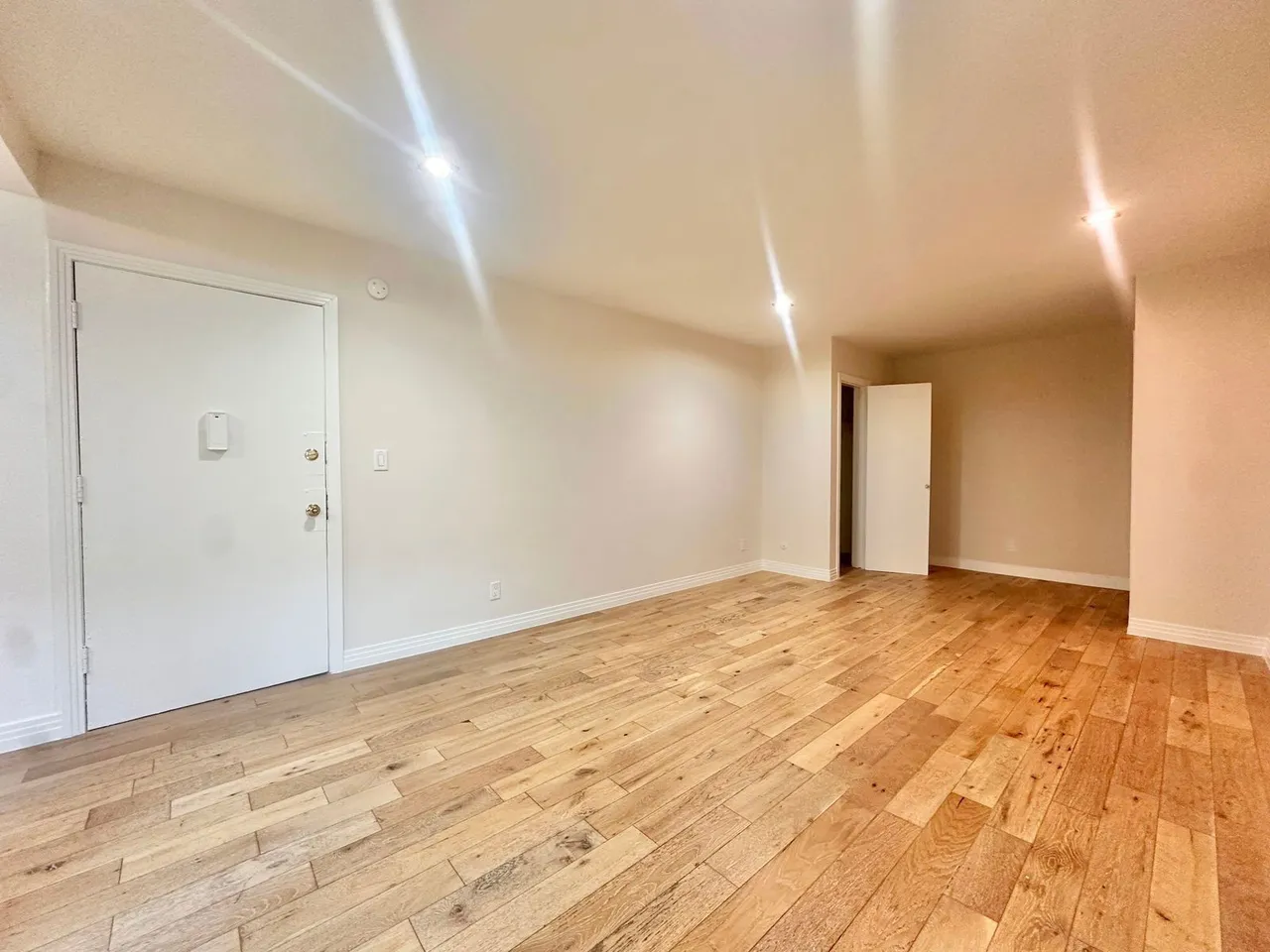 Unit 206 interior